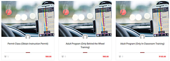 Asia Driving School Course Selection