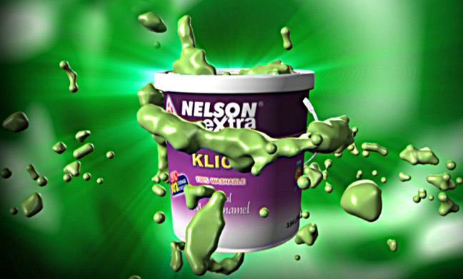 Nelson Paints Campaign